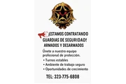 Guardias de seguridad oportuni