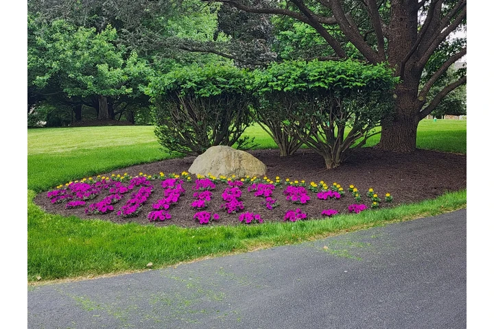 Professional Maintenance image 7