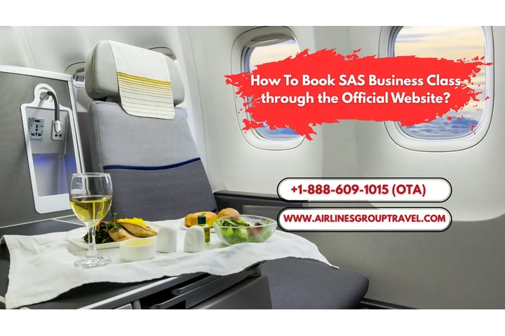 SAS Business Class image 1