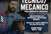 Técnico/ Mecanico de Vehículos