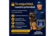 Grupo SEINPRI de México, S.A. en Mexico DF