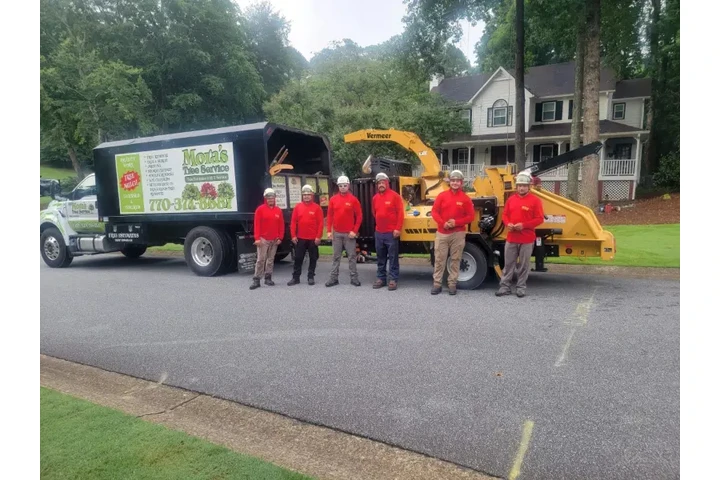 Mora's Tree Service LLC image 5