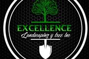 Tree services y landscaping thumbnail