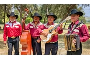 Chirrines SAnta Paula CA 805 en Ventura