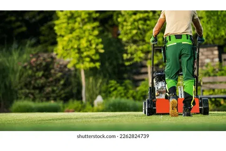 Vacante tiempo de interés🦺⚜️ image 1