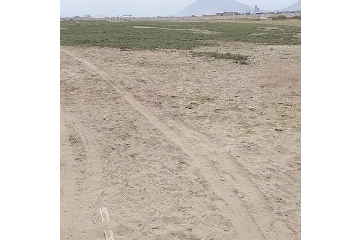 $55 : Vendo  10 Hectáreas delicias image 2