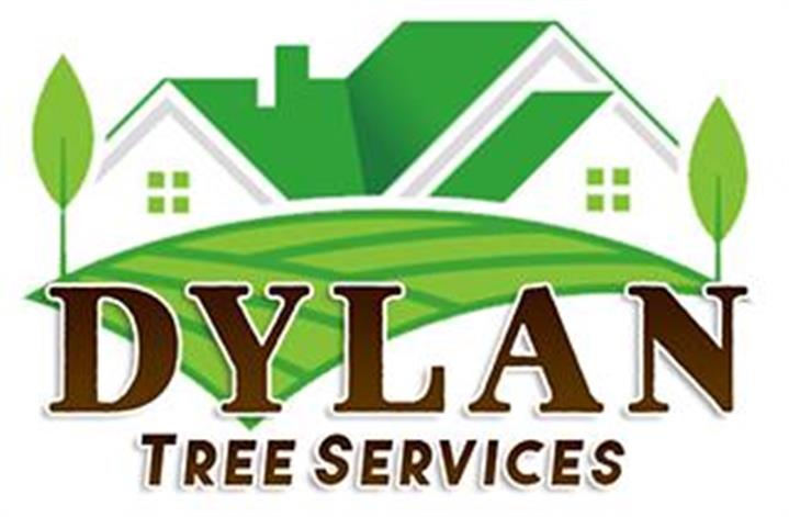 Dylan Tree Services image 1