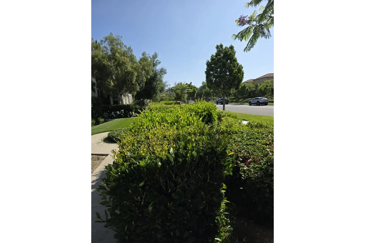 The Bernardinos landscaping image 4
