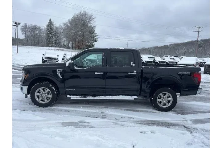 $37999 : Ford F-150 2024 4x4 XLT 4dr image 8