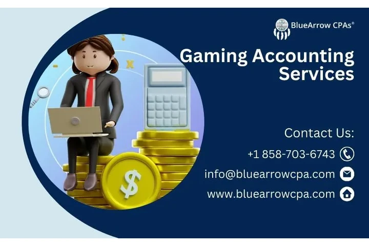 Gaming accounting services image 1