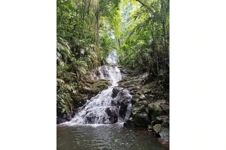 🔮✨ ANCIANO INDIO DEL AMOR 🔮✨ image 7