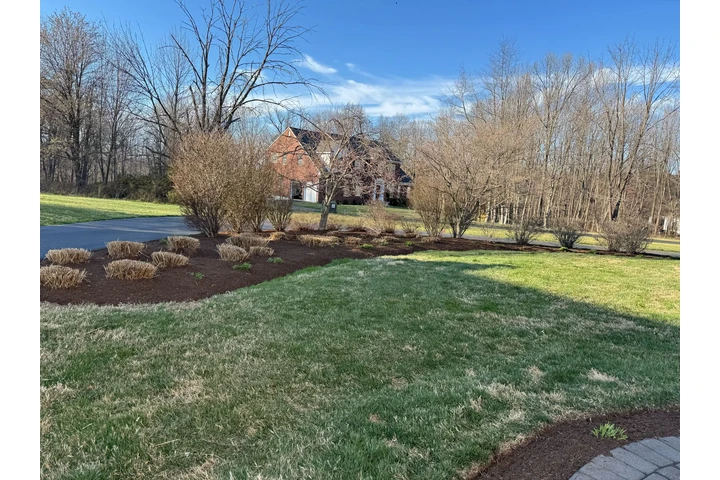 🌲LANDSCAPING SERVICES🌲 image 6