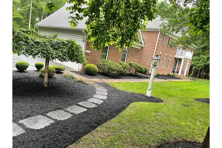 🌳HIDALGO LANDSCAPING SERVICES image 5
