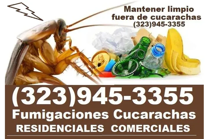 FUMIGACION CUCARACHAS L.A.- image 1