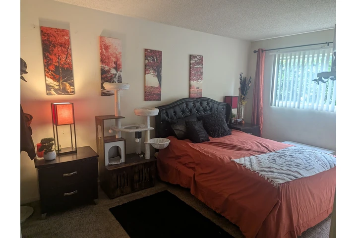 $950 : en anaheim cuarto amplio $950 image 4
