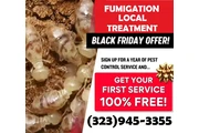 "Fumigaciones Accion Gracias" thumbnail
