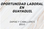 Oferta laboral recepcionista en Guayaquil