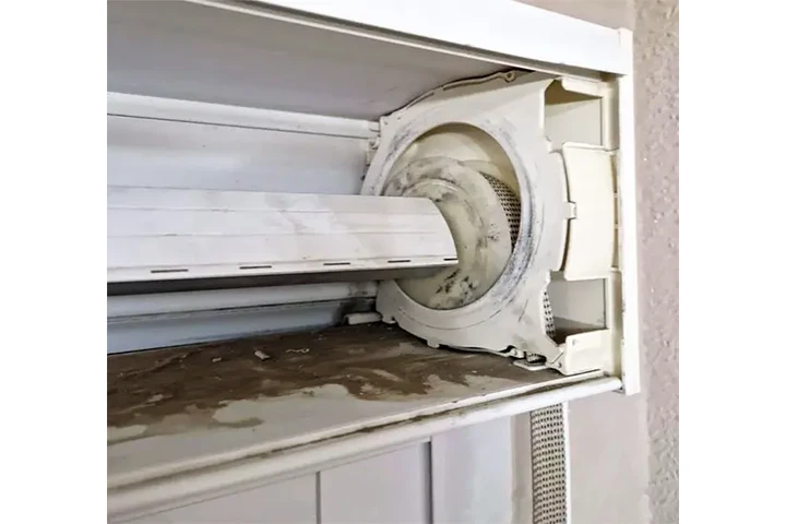 Tecnico Persianista image 3