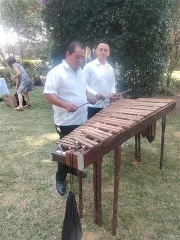 MARIMBA 2 HORAS X $2,600 image 4