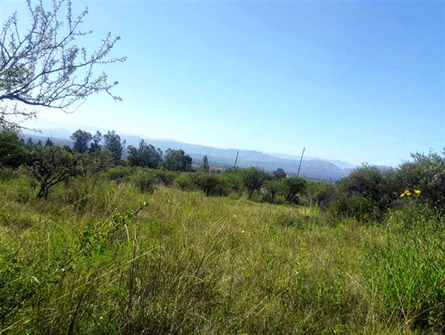 $12500 : Terreno en venta 500m² Tarija image 4