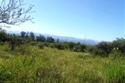 $12500 : Terreno en venta 500m² Tarija thumbnail