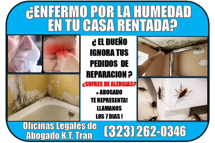 🔥ENFERMO?LA CASA CON HUMEDAD image 5