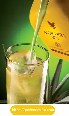 Beber Forever Aloe Vera GEL image 2