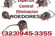 Fumigaciones Ratas-Ratones 24h thumbnail