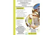 Oportunidad laboral en Maine en Dallas