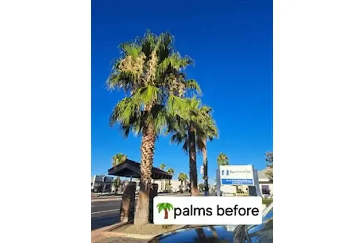 Jardinero Econoómico image 6