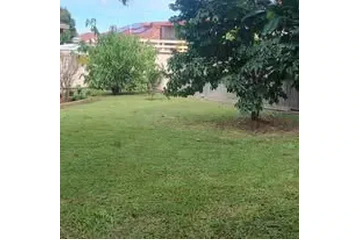 Jamy Mowing image 7
