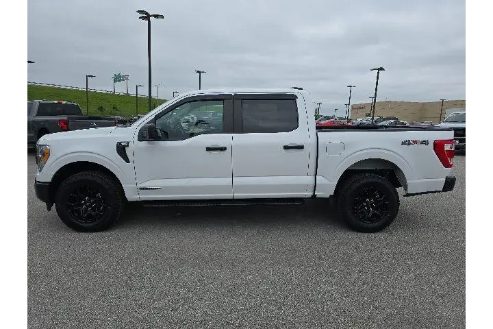 $36500 : Ford F-150 2021 4x4 Limited image 2