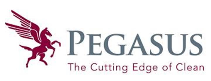 Pegasus Building Services image 1