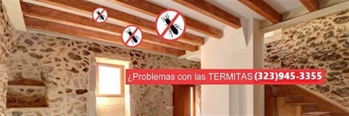 CONTROL TERMITAS-INSPECCIONES. image 8