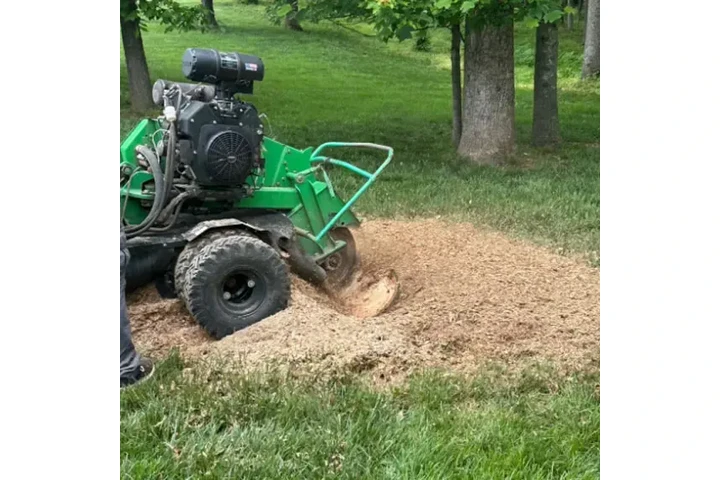 VIRGINIA TREE AND LANDSCAPING image 5