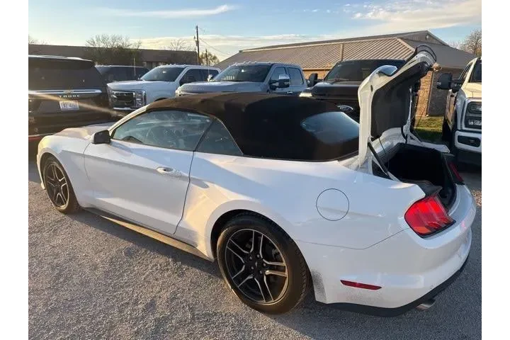 $23000 : Ford Mustang 2023 EcoBoost P image 4