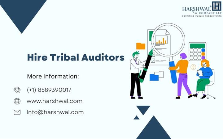 Hire Tribal Auditors image 1