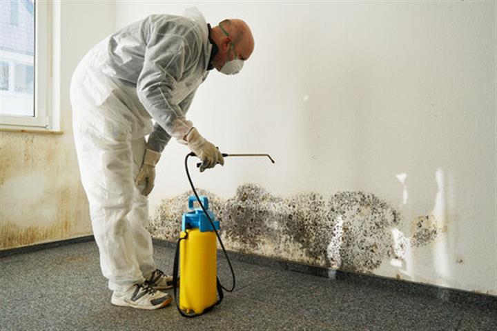 Mold Services in St Charles image 1