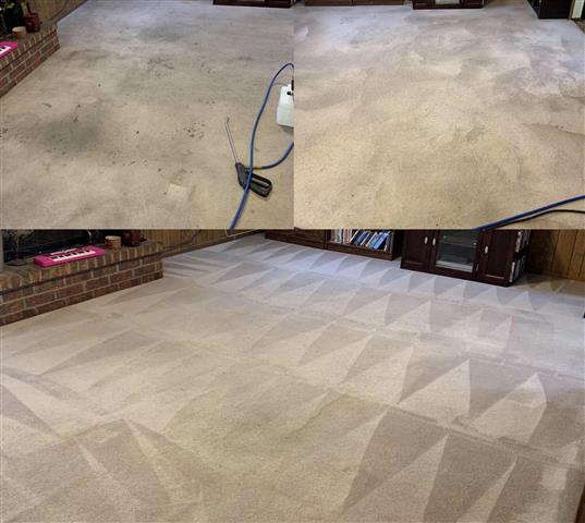 D&L Carpet cleaning and beyond image 1