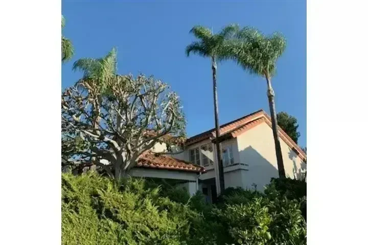 Alex Tree Services image 8