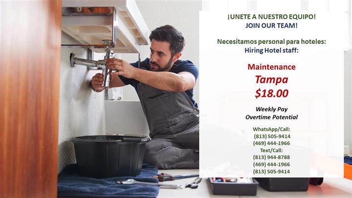 Vacantes para Tampa $18.00 hr image 1