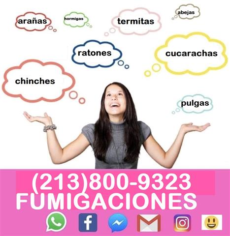 FUMIGACIONES WEST L.A  24/7 image 1