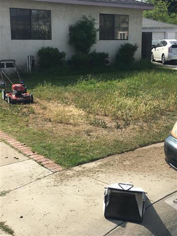 Inspired Lawn Care image 3