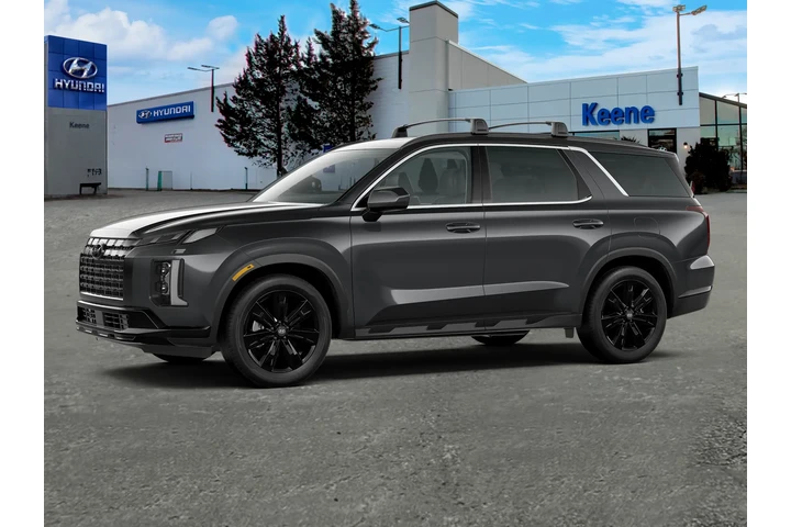 $33995 : Hyundai PALISADE 2023 AWD XR image 2