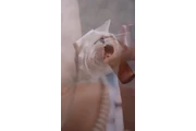 MAGIC HANDS SPA en Miami