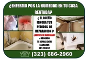 EL DUEÑO NO HACE REPARACIONES thumbnail