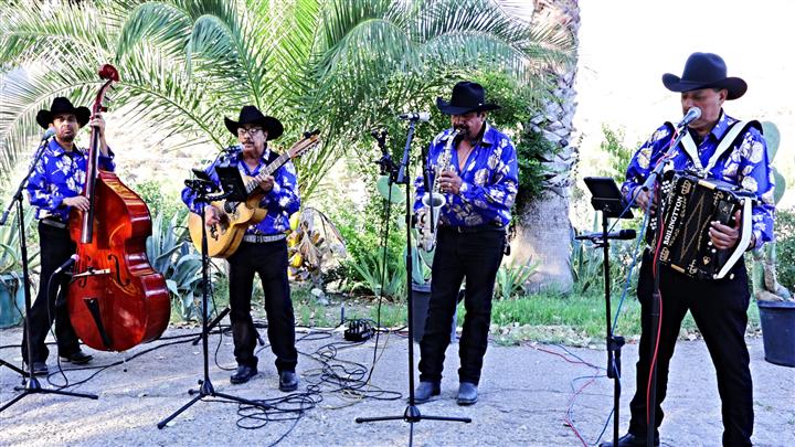 Norteños con Sax en Reseda CA image 1