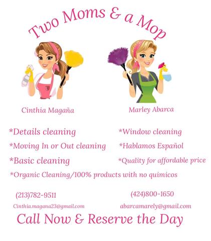 Two moms & a mop image 1