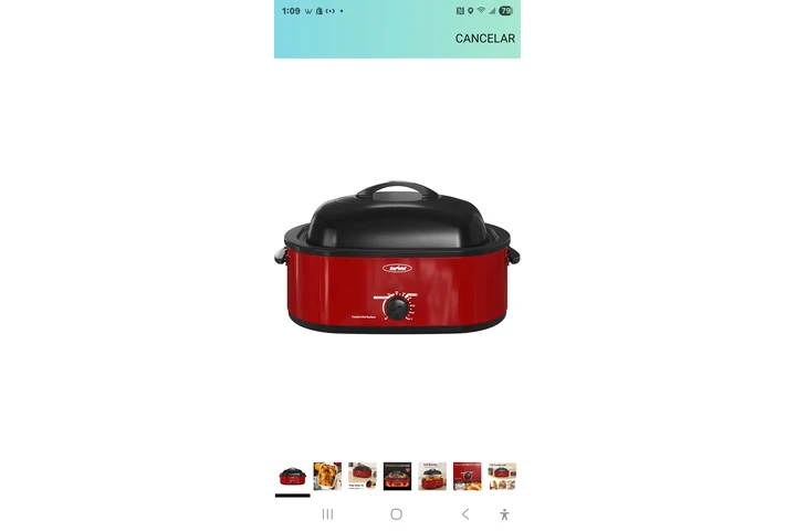 $40 : Electric Roaster oven image 9