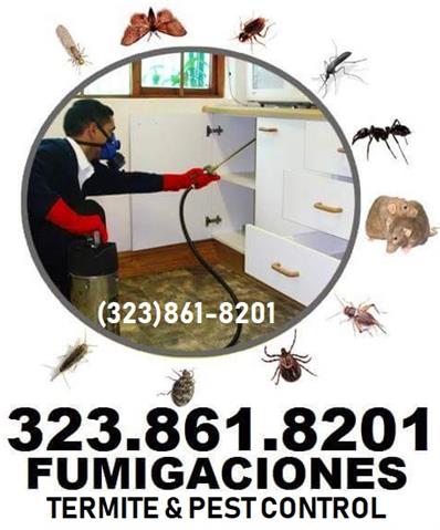 Fumigaciones 323-861-8201 Gas image 4